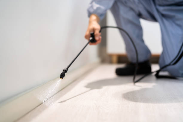 Licensed Ant Control service in Shenandoah, VA - Show Me Pest Control