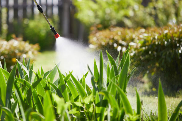 24/7 Emergency Ant Control experts in Shenandoah, VA
