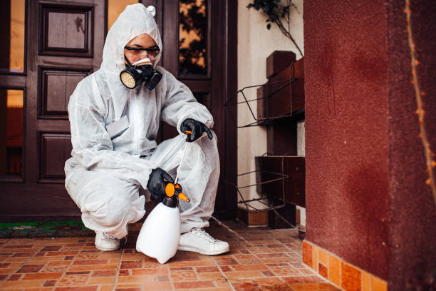 Reliable Ant Control contractor in Shenandoah, VA by Show Me Pest Control